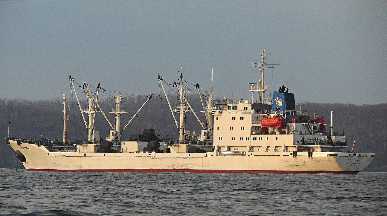 Dry Cargo Ship Bulk Carrier 