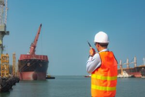 Inspection official on port